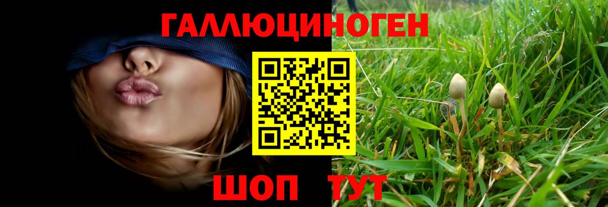 Сочи  Псилоцибиновые грибы MAGIC MUSHROOMS  Псилоцибиновые грибы ЛСД  Вход с VPN 
